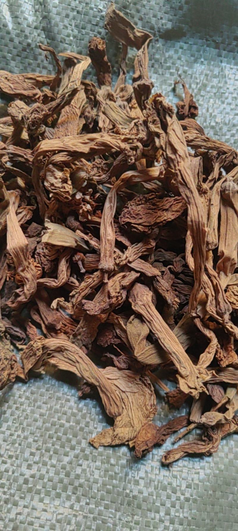 金银花羊金花曼陀罗花