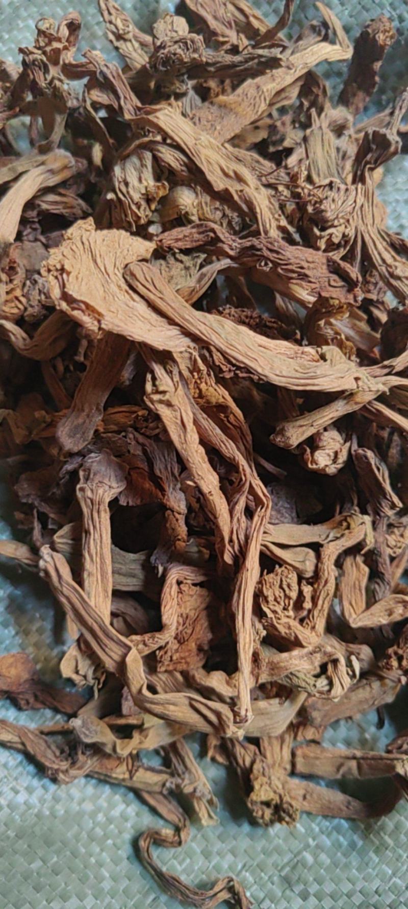 金银花羊金花曼陀罗花