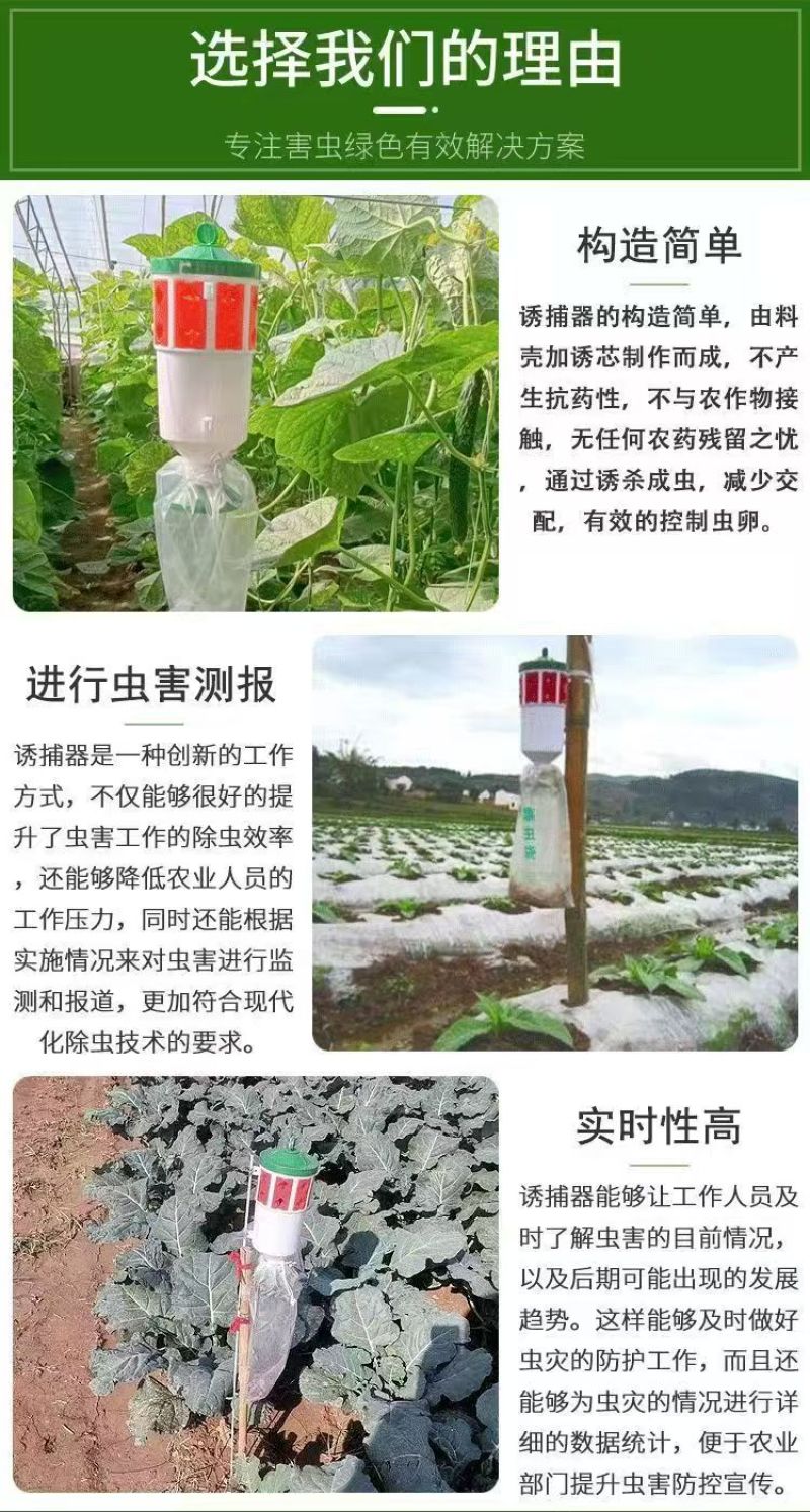 夜蛾诱捕器斜纹夜蛾甜菜夜蛾飞蛾陷阱大棚捕蛾器飞蛾诱芯诱蛾