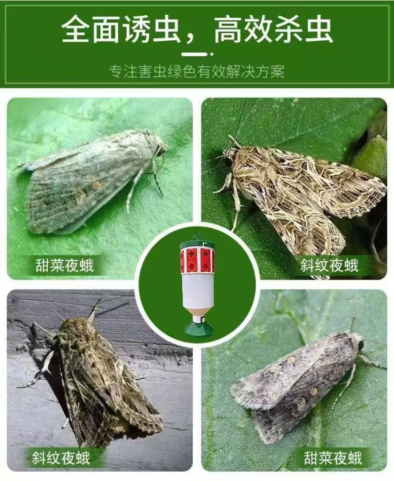 夜蛾诱捕器斜纹夜蛾甜菜夜蛾飞蛾陷阱大棚捕蛾器飞蛾诱芯诱蛾