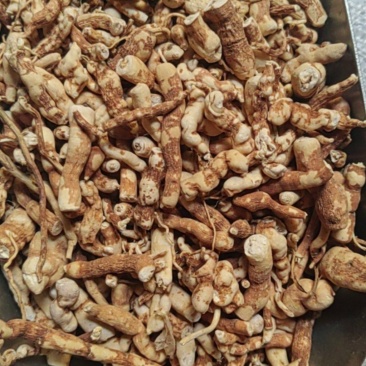 甘草批发价格