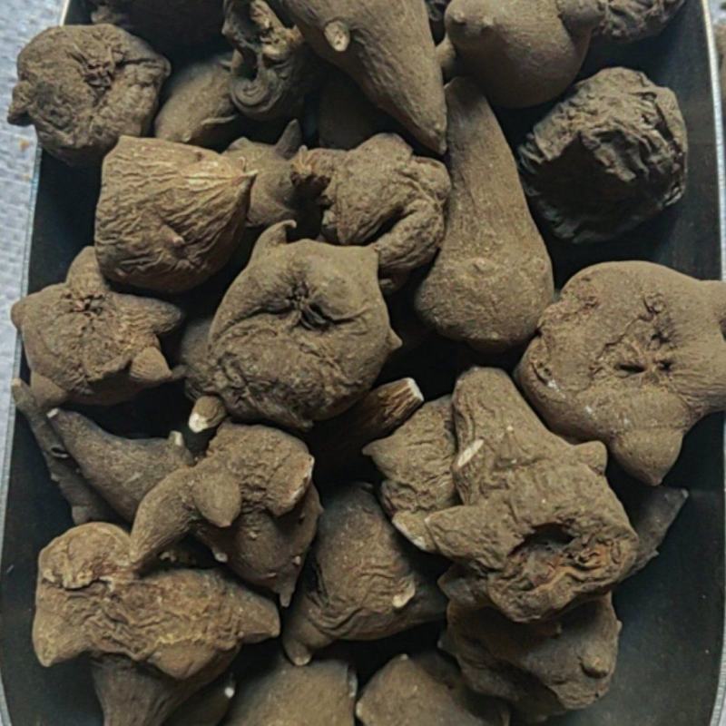 乌药川乌批发价格