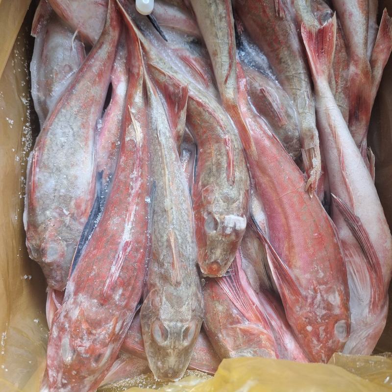 威海石岛红头鱼红娘子红鱼通货规格，价格实惠食堂餐饮加工均