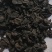 乌药制草乌批发价格
