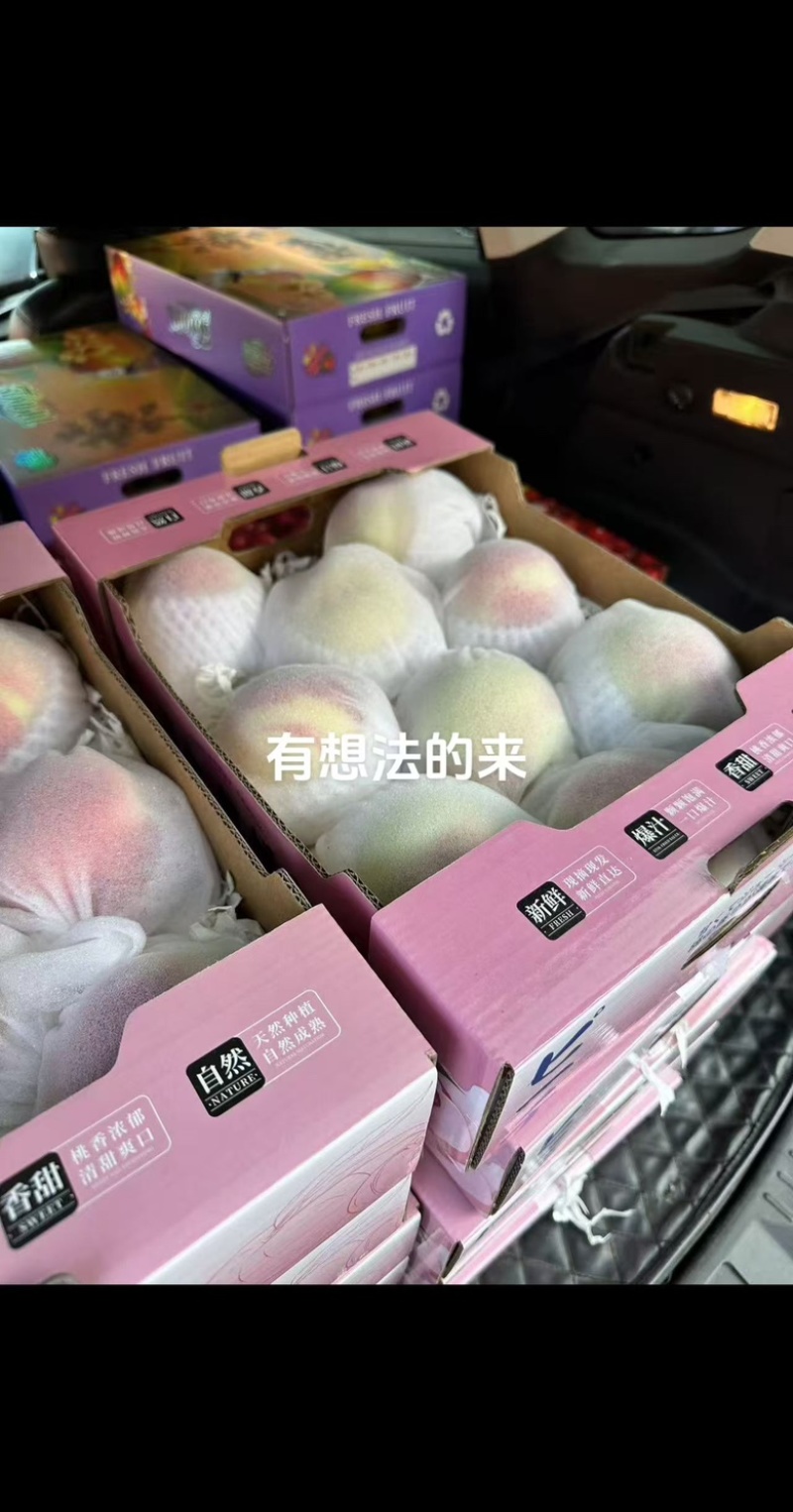 江苏水蜜桃，现货供应，量大从优规格齐全，欢迎咨询