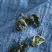 蒲公英茶特级原味天然正宗婆婆丁干花长白山特产蒲公英泡水喝罐装