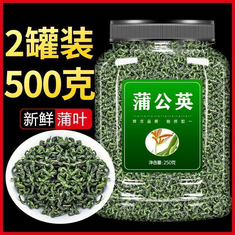 蒲公英茶特级原味天然正宗婆婆丁干花长白山特产蒲公英泡水喝罐装