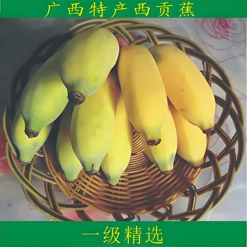 粉蕉西贡蕉