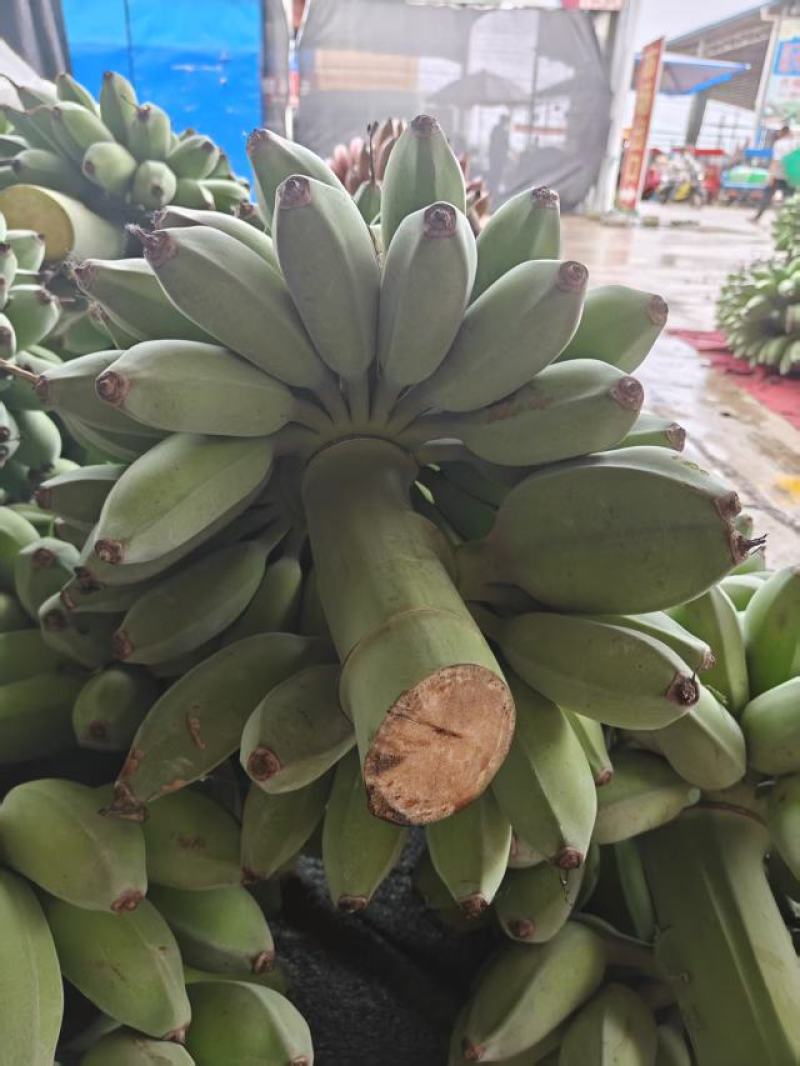 粉蕉西贡蕉