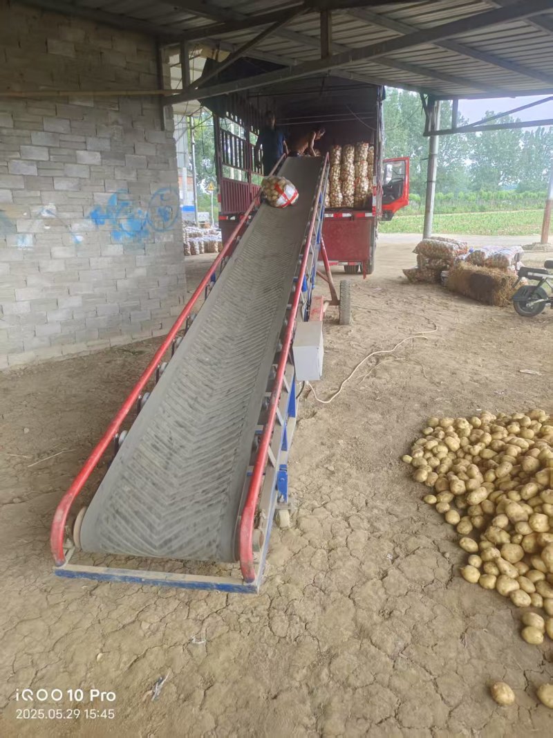 《推荐》河南南阳中薯5号土豆规格齐全对接全国诚信合作