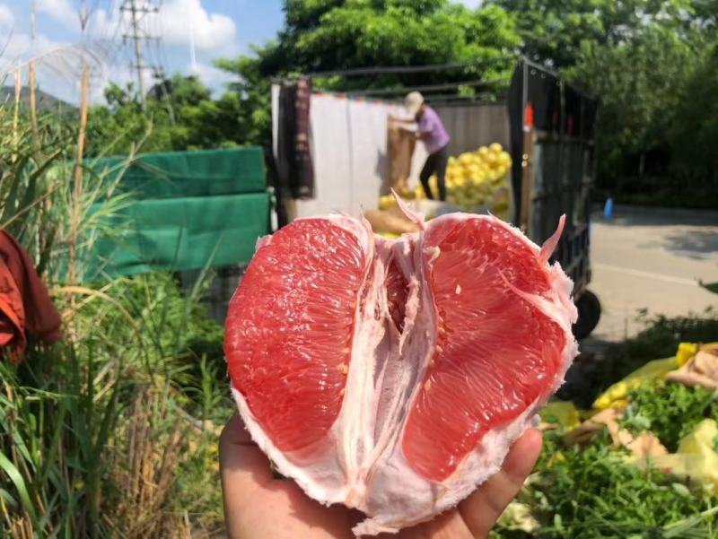 精品琯溪蜜柚产地一手货源批发品质保证价格美丽全国发货欢迎下单