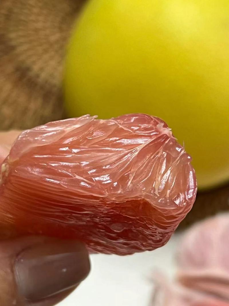 精品琯溪蜜柚产地一手货源批发品质保证价格美丽全国发货欢迎下单