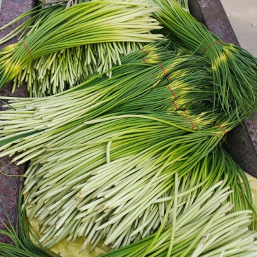 湖北精品白帽蒜薹大量上市对接各大电商批发市场欢迎全国老板联系