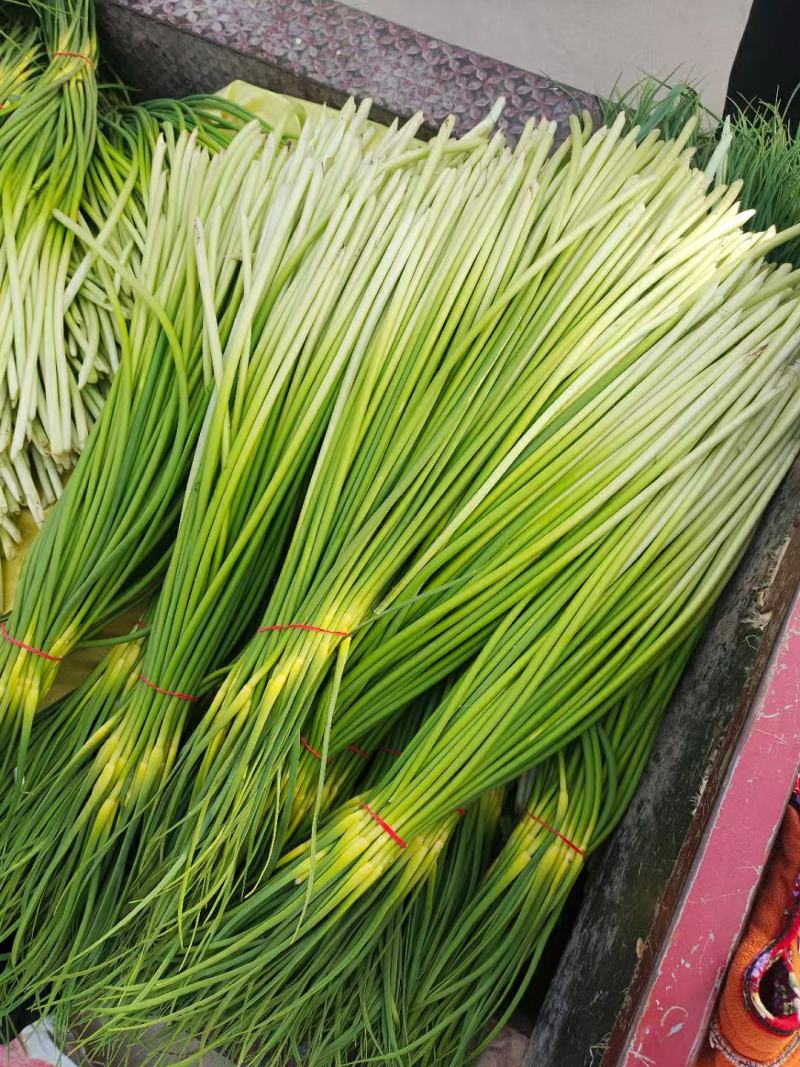 湖北精品白帽蒜薹大量上市对接各大电商批发市场欢迎全国老板联系