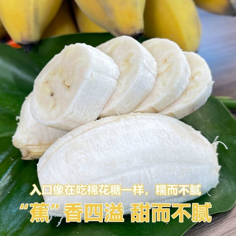 广东徐闻苹果蕉基地直发保质保量一条龙服务对接全国