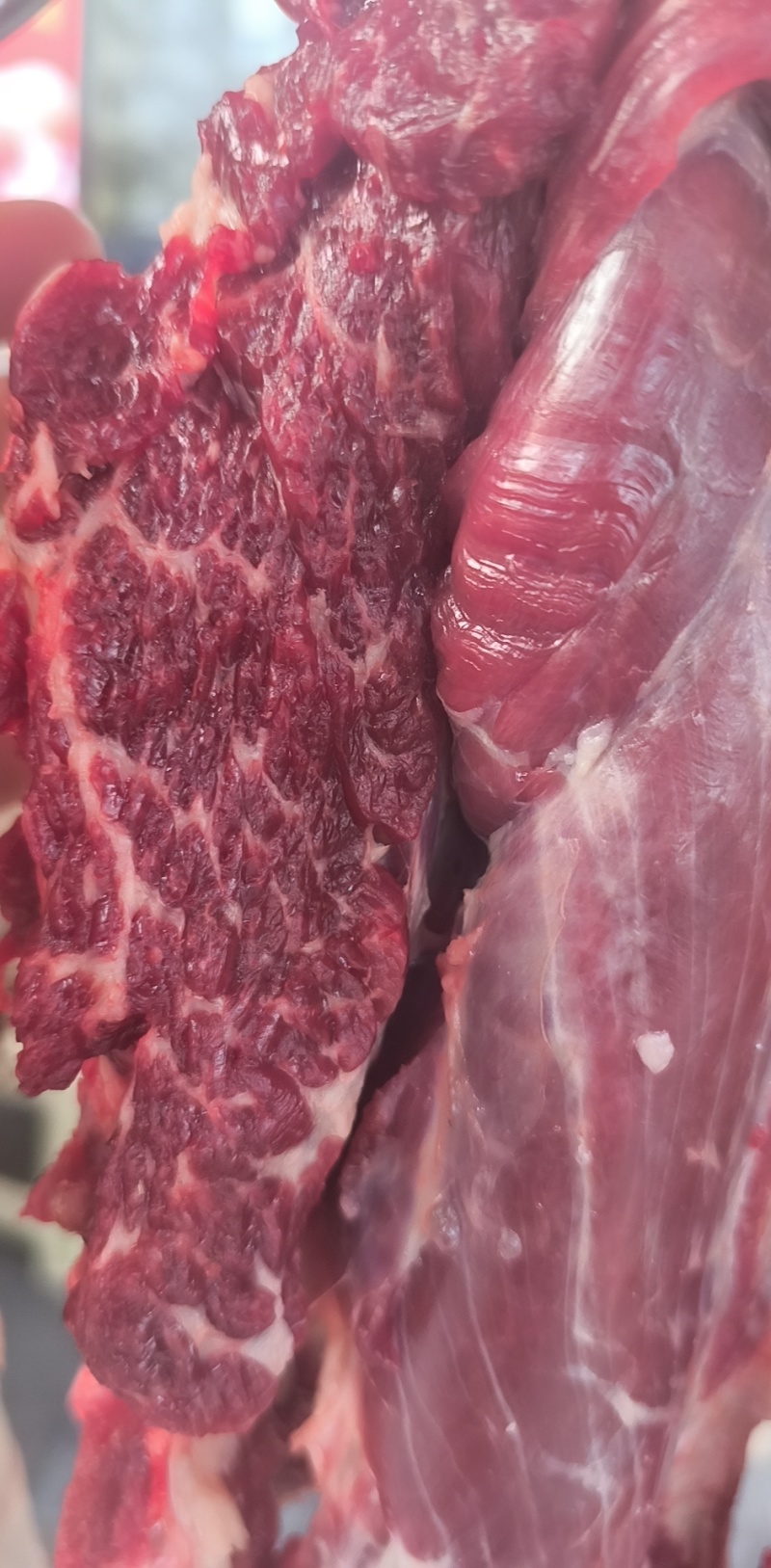 高山黄牛肉现杀新鲜牛肉批发
