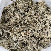 陕南高山艾叶纯叶子，干净杂质少，有两年三年的货。