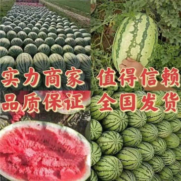 新疆西瓜安农二号西瓜，商超电商全国供应批发
