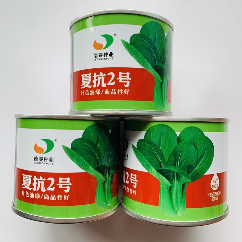 夏抗2号耐热青梗菜种子抗病小油菜夏秋抗热耐高温菜种子