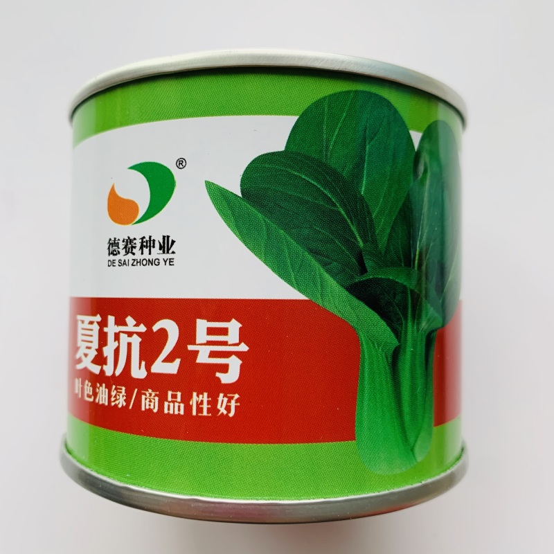 夏抗2号耐热青梗菜种子抗病小油菜夏秋抗热耐高温菜种子