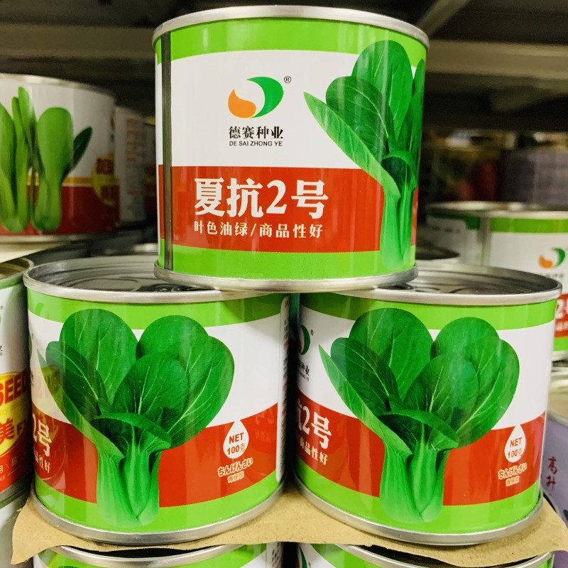 夏抗2号耐热青梗菜种子抗病小油菜夏秋抗热耐高温菜种子