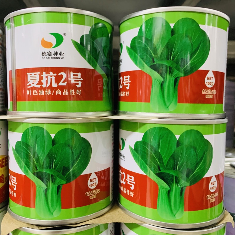 夏抗2号耐热青梗菜种子抗病小油菜夏秋抗热耐高温菜种子