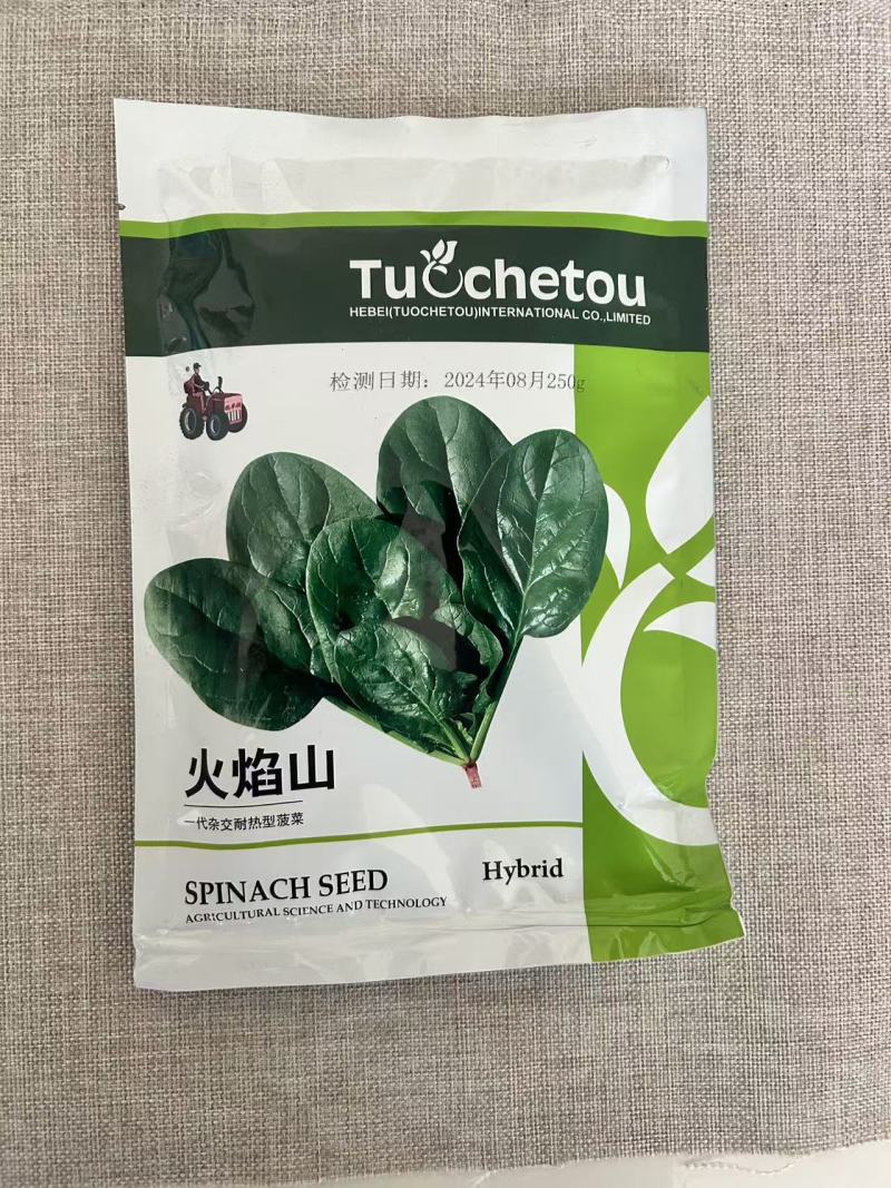 火焰山进口菠菜种子250g四季高产抗病耐热圆叶基地