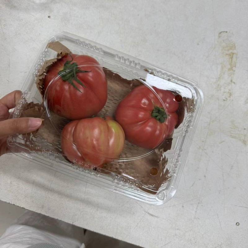 牛心番茄