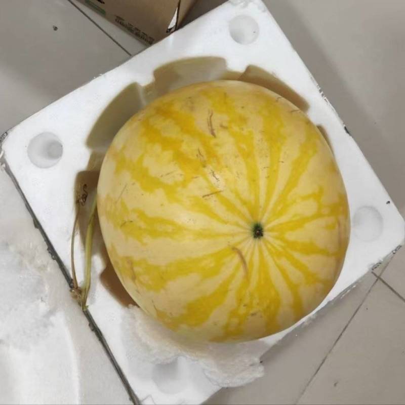 黄皮西瓜一件代发