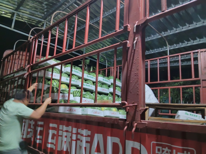 精品美都西瓜/精品美都/包熟包甜对接全国客商。