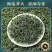 小叶苦丁茶贵州余庆嫩芽正宗小叶苦丁罐装青山绿水新货苦丁茶批发