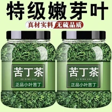 小叶苦丁茶贵州余庆嫩芽正宗小叶苦丁罐装青山绿水新货苦丁茶批发