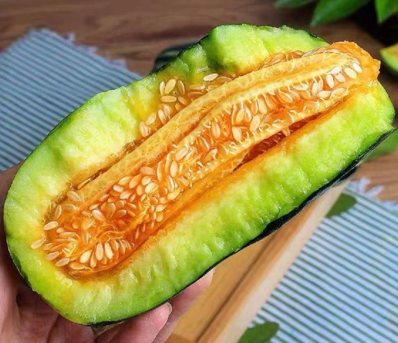 1推荐青县博洋九一河北甜瓜博洋九博洋六一一手货源