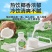 轻上椰子汁0糖生椰添加胶原蛋白肽饮料0卡代糖椰奶椰汁早餐饮品