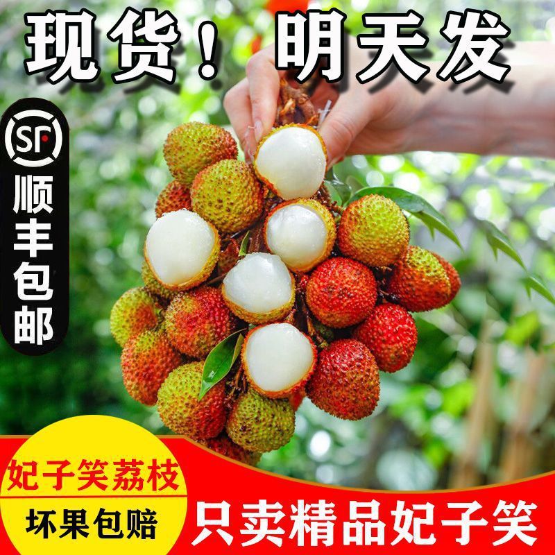 广东荔枝妃子笑白糖罂一件代发包邮代办直播