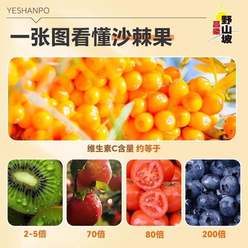 沙棘汁吕梁野山坡山西特产饮料整箱果汁网红沙棘汁瓶装300