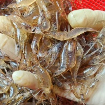 盒装河虾，半斤一盒，大大解决了包装问题，方便存放/使用