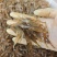 盒装河虾，半斤一盒，大大解决了包装问题，方便存放/使用