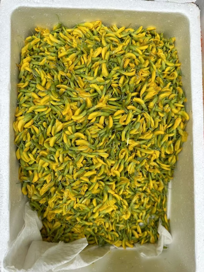 云南大树番茄