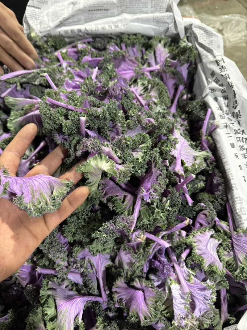 云南大树番茄