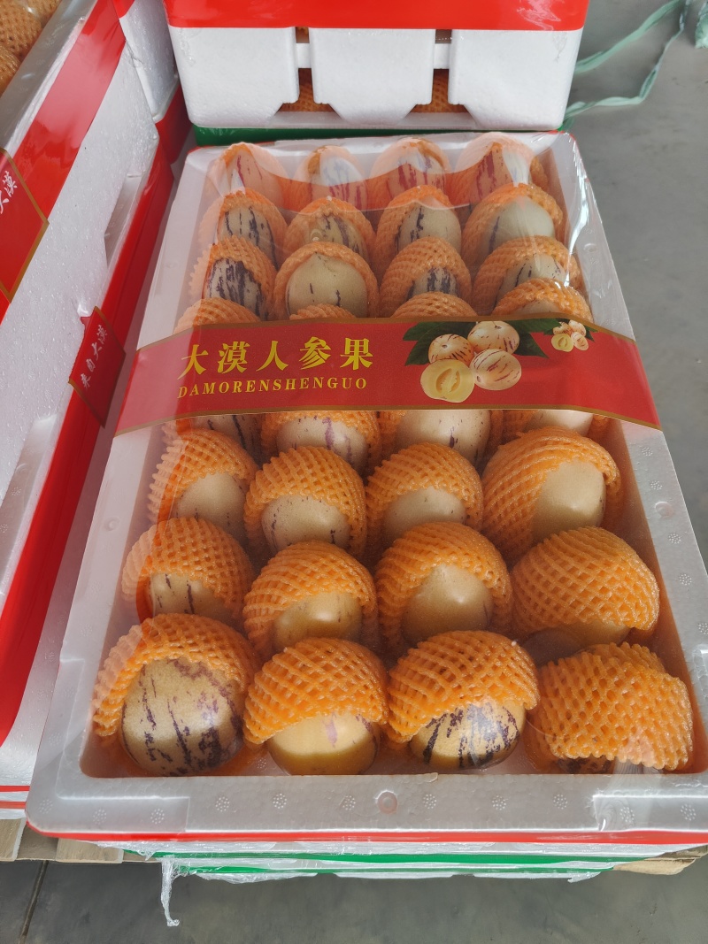 甘肃人参果