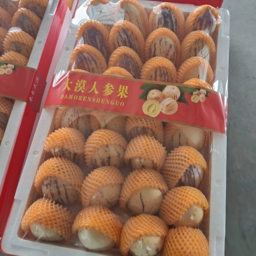 甘肃人参果