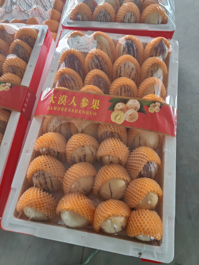 甘肃人参果