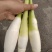 茭白，精品，电商大量可持续供应