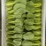 油菜