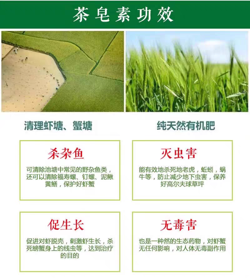 苦茶粕清塘虾蟹塘杀福寿螺杂鱼纤维虫茶枯茶籽饼渣茶麸颗粒调