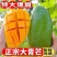 大青芒皮薄肉厚一件代发