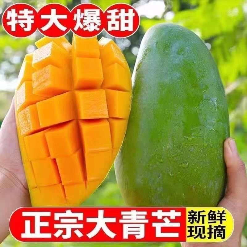 大青芒皮薄肉厚一件代发
