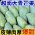 大青芒皮薄肉厚一件代发