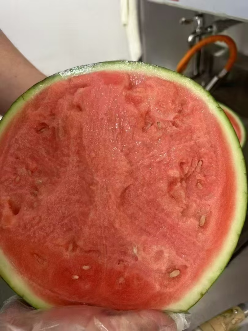 美都西瓜/8424西瓜/甜王/麒麟西瓜/无籽美都产地直发